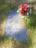 image of grave number 654714